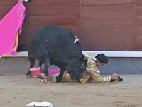 Gonzalo Caballero, trágica faena en Las Ventas. Las imágenes del fatídico momento
