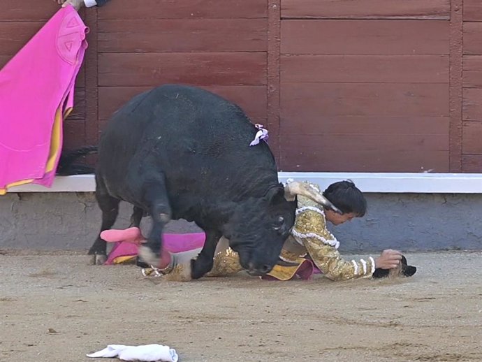 GONZALO CABALLERO SUFRE UNA COGIDA EN LAS VENTAS