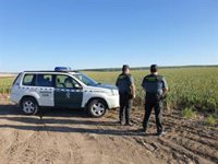 La Guardia Civil intensifica sus servicios para evitar robos y hurtos en la campaña del ajo de Córdoba