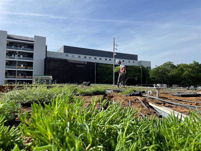 El Ayuntamiento de Sevilla inicia los trabajos de jardinería en cubierta y fachada de la bici estación de San Bernardo