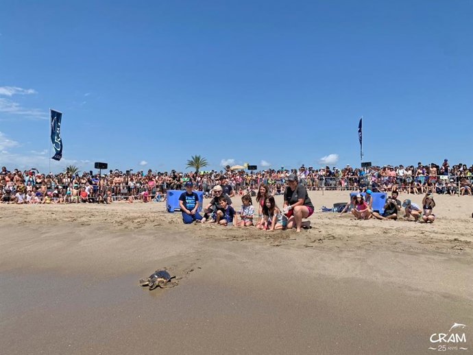 Alliberament d'una tortuga al Prat de Llobregat (Barcelona)