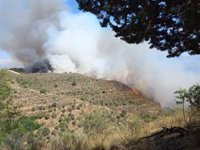 Detenidos dos excursionistas como presuntos causantes del incendio en el Cerro de San Miguel de Granada