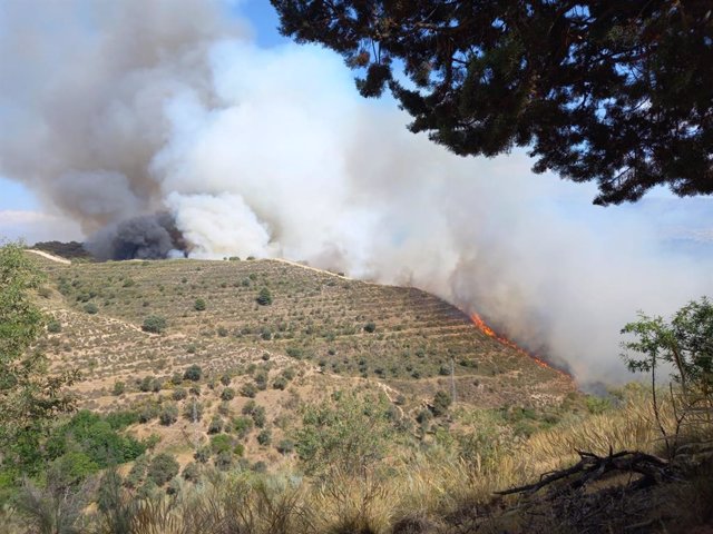 Incendio forestal en el Cerro de San Miguel de Granada