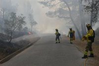 El Infoca da por estabilizado el incendio forestal en el Cerro de San Miguel de Granada