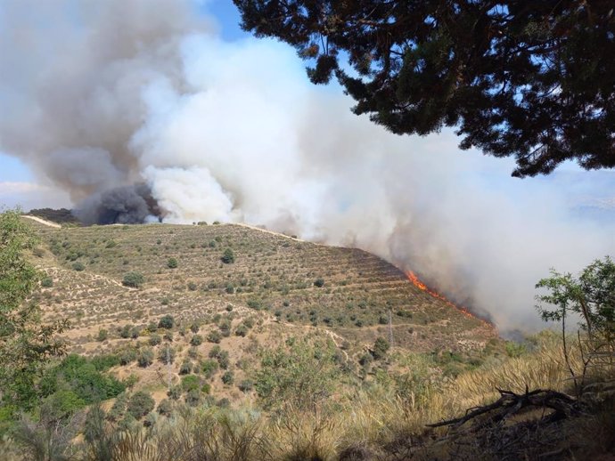 Incendio forestal en el Cerro de San Miguel de Granada.