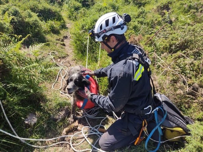 Los bomberos rescatan a un perro que cayó por una sima de 10 metros en el Monte Dobra