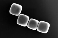 Nueva técnica para producir materiales con partículas diminutas