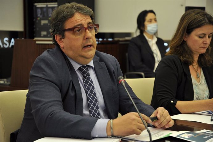 El vicepresidente segundo y consejero de Sanidad y Servicios Sociales, José María Vergeles, en la subcomisión de la Asamblea sobre los fondos europeos.