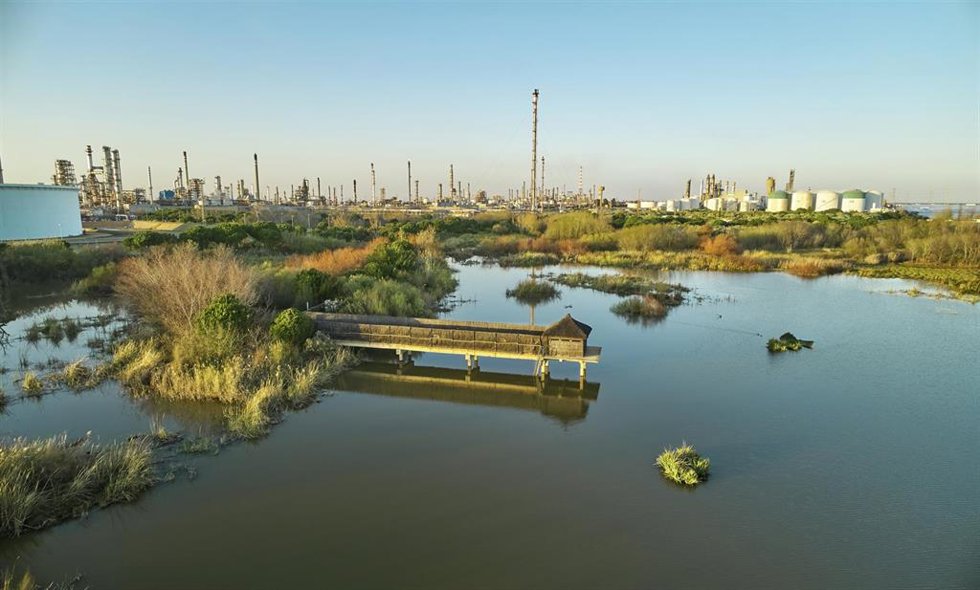 Planta de producción de Cepsa