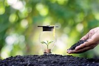 ¿Cómo afecta la LOMLOE a las diferentes etapas educativas?