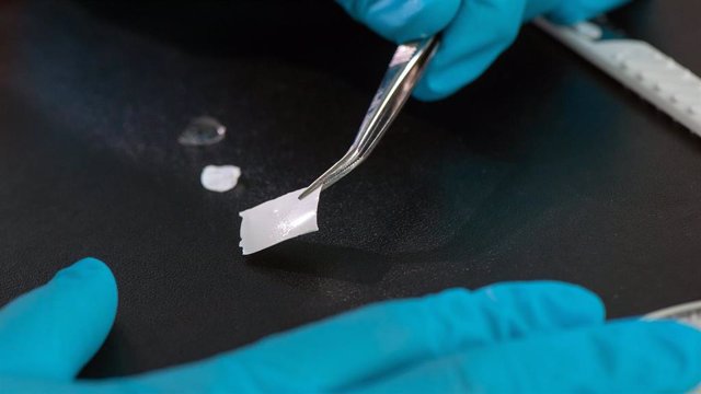 Una vez seca, esta novedosa película biomolecular puede recogerse con unas pinzas y colocarse fácilmente sobre una herida.