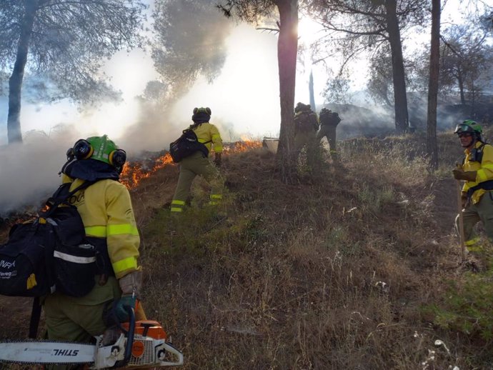 Efectivos del Plan Infoca trabajan para sofocar el incendio de San Miguel, en Granada.