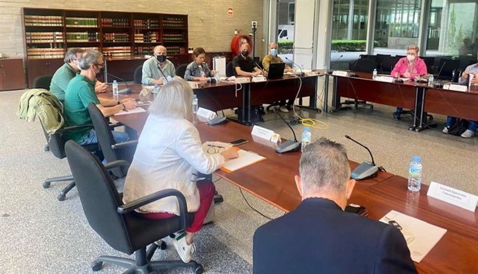 La Dirección General de Emergencias celebra la Comisión Permanente de Protección Civil de Extremadura