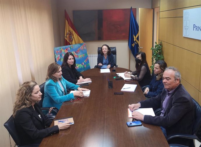 Reunión de la consejera de Derechos Sociales, Melania Álvarez, con miembros de la mesa del sector sociosanitario de FADE.