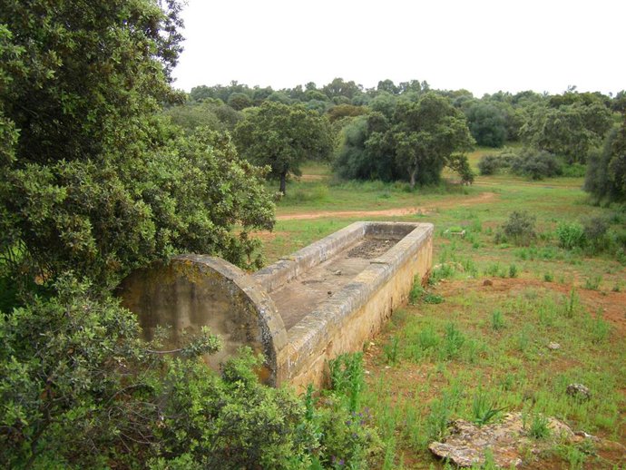 Zona de Dehesa Nueva