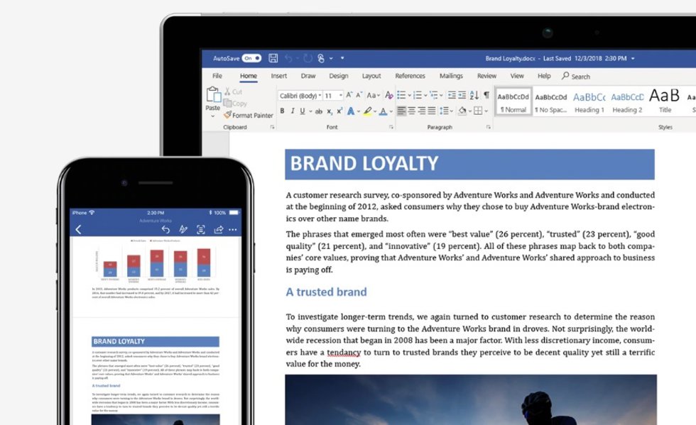 Microsoft Word