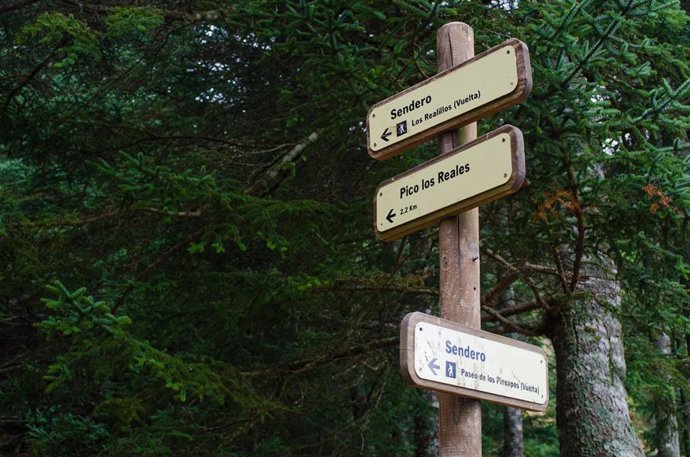 Archivo - Acceso a Sierra Bermeja, Los Reales de Estepona