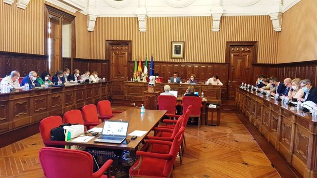 Pleno de la Diputación de Jaén