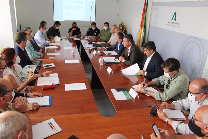 Imagen de la reunión del Comité Asesor del Infoca en Huelva.