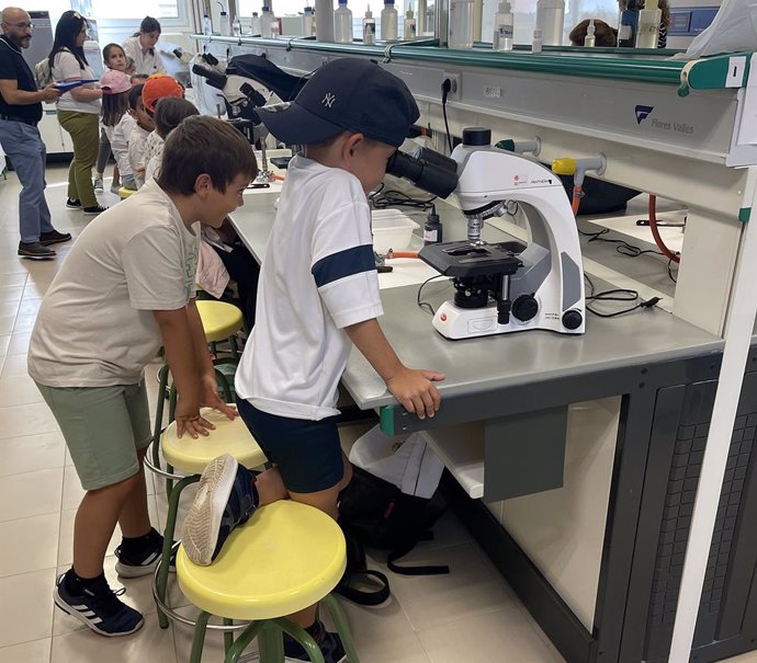 Escolares en uno de los talleres.