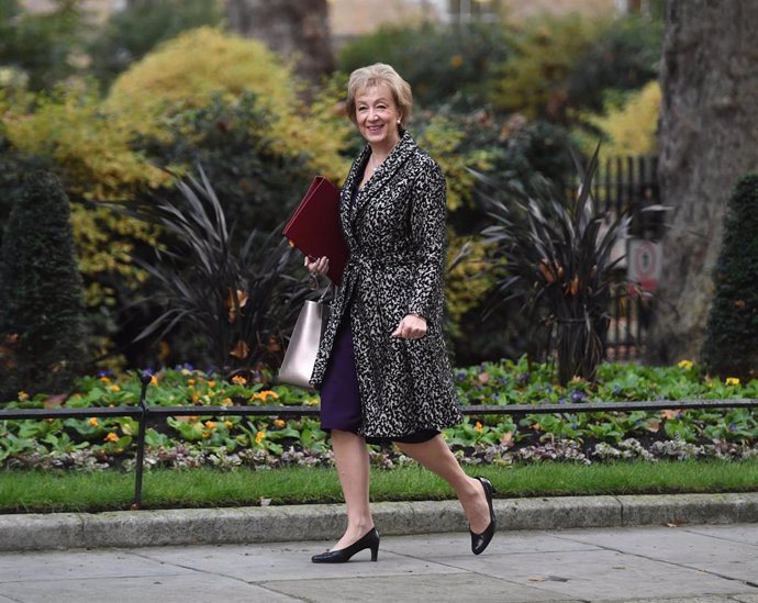 Archivo - La ex jefa de los Conservadores en el Parlamento británico, Andrea Leadsom