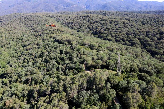 Un helicóptero de Endesa