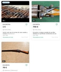 La Fundación Franz Weber denuncia la venta de 600 armas de caza sin control desde CyL