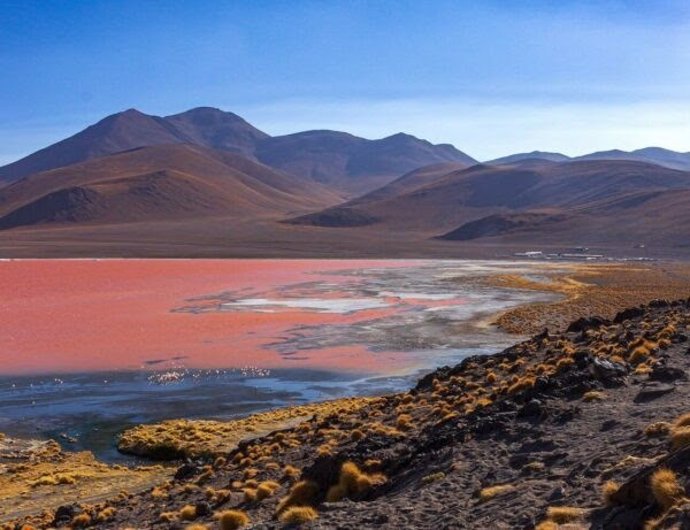 Lago hipersalino de Argelia donde se ha encontrado los compuestos antioxidantes y antibacterianos en unos microorganismos aislados.