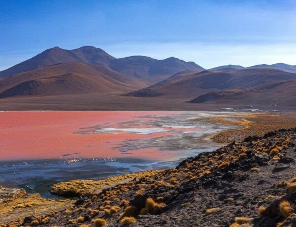 Lago hipersalino de Argelia donde se ha encontrado los compuestos antioxidantes y antibacterianos en unos microorganismos aislados.