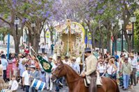 La hermandad del Rocío de Mairena del Aljarafe (Sevilla) camina hacia la Aldea con 40 carriolas y 600 romeros