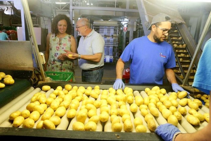 La presidenta del Consell de Mallorca, Catalina Cladera, visita portales exportadores de patata de Sa Pobla.