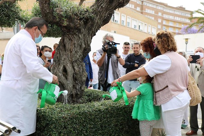 [Medios.Sevilla.Csalud] El Virgen Del Rocío Dedica El Día Nacional De Los Donantes De Órganos Y Tejidos A La Donación Y El Trasplante Pediátrico