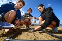 El International Ocean Film Tour realiza este domingo varias acciones de concienciación ambiental