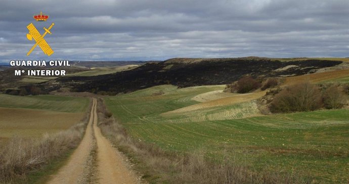 Zona afectda por el incendio.