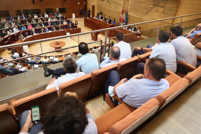 Miembros del sector del taxi en un pleno de la Asamblea de Madrid, a 2 de junio de 2022, en Madrid (España). 