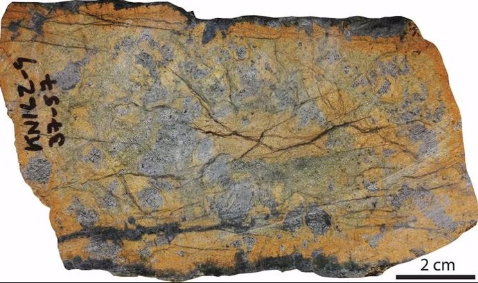 Una imagen representativa de las rocas del manto estudiadas dragadas del Southwest Indian Ridge