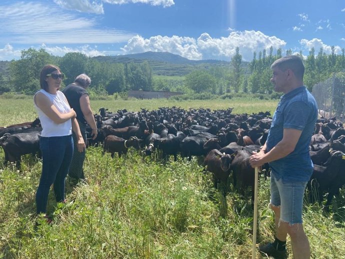 La delegada de Gobierno, María Marrodán, visita una granja de caprino