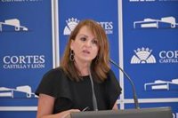 PSOE instará a Mañueco a reprobar a García-Gallardo por su "trato vejatorio" y "falta de respeto" a Frutos