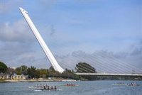 El IMD adjudica las Escuelas Deportivas en Sevilla, que suman 625 proyectos para 10.000 jóvenes