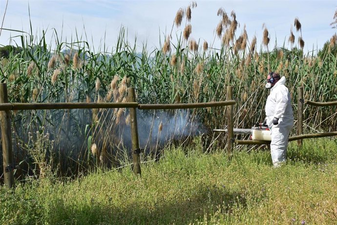 Fumigar, fumigación.