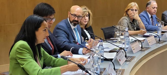 La consejera de Empresa, Empleo, Universidades y Portavocía, Valle Miguélez, durante su intervención en la Conferencia de Política Universitaria