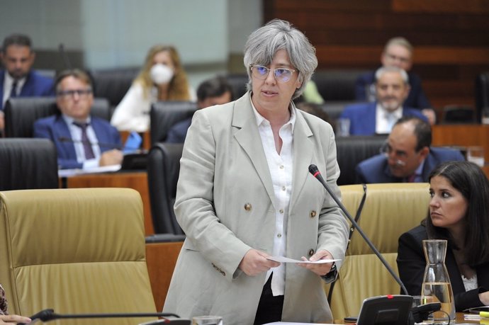 La consejera de Movilidad, Transporte y Vivienda de la Junta de Extremadura, Leire Iglesias, en el pleno de la Asamblea