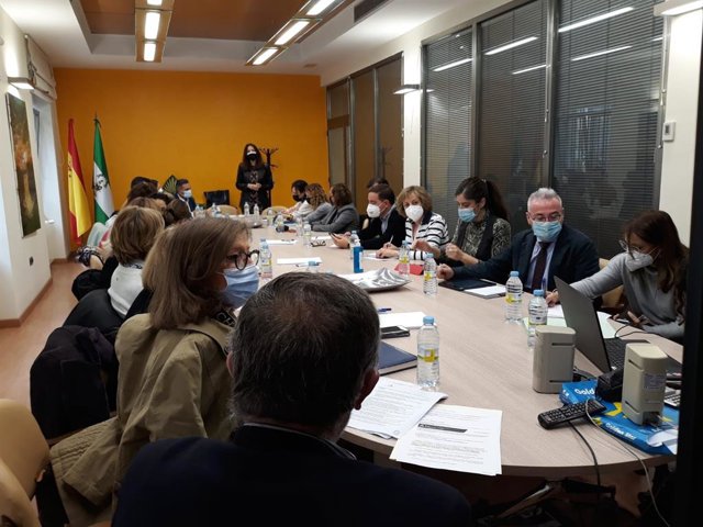 Reunión de la comisión provincial de violencia de género