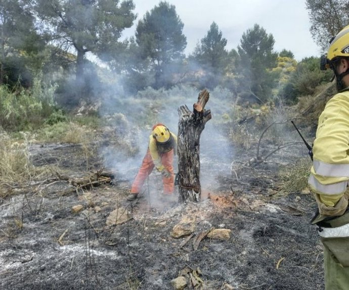 Efectivos del Plan Infomur dan por controlado el incendio forestal declarado en Ricote