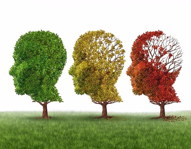 Archivo - Una de cada tres personas será diagnosticada de Alzheimer
