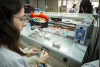 El BOJA publica la convocatoria de ayudas para que entidades locales oferten Formación Profesional para el Empleo