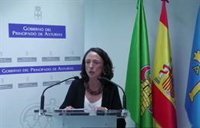 El Principado no está "satisfecho" con las explicaciones del Gobierno y exige una comisión de seguimiento de las obras