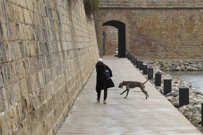 Archivo - Una mujer paseo a su perro en el Parque del Mar.