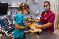 Diputación de Huelva convoca la octava edición del Plan HEBE Primera Oportunidad con 105 becas para jóvenes