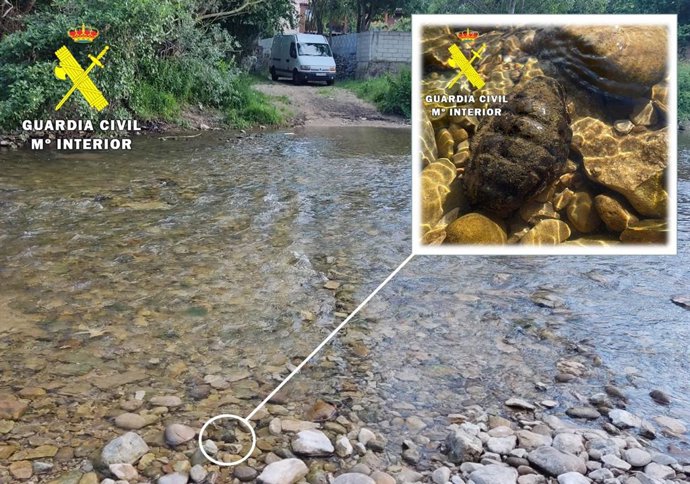 Granada hallada en el cauce del río Neila, en la provincia de Burgos.
